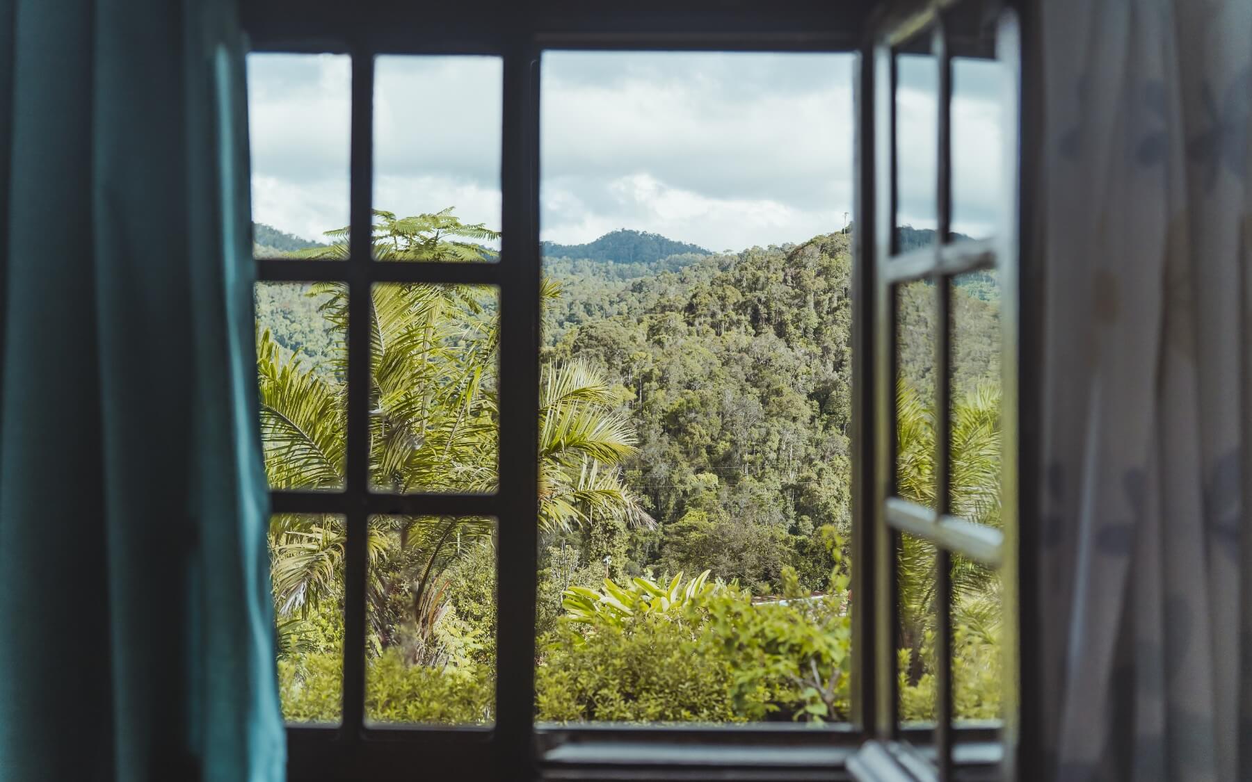 Parc National de Ranomafana — for&ecirc;t tropicale