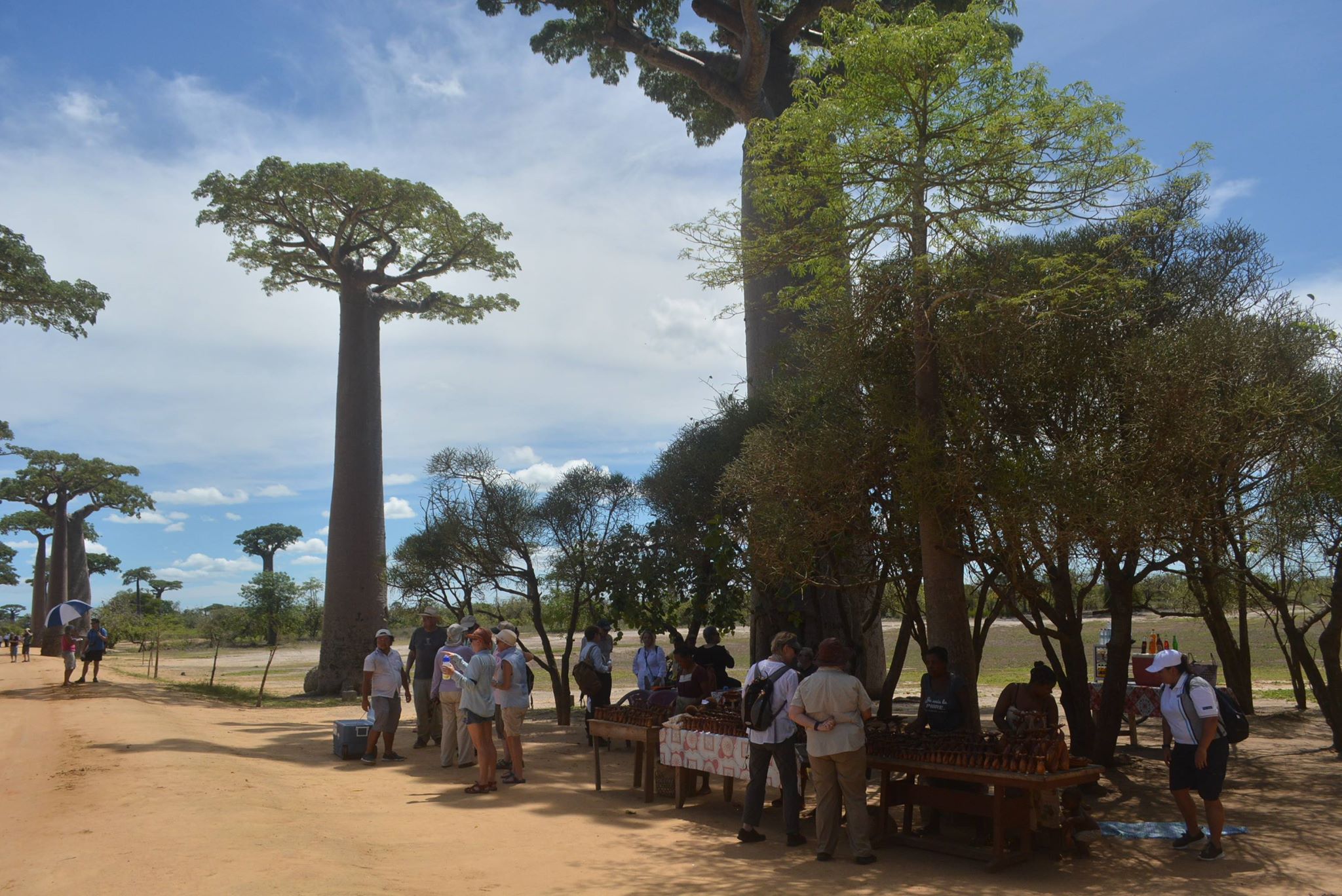 Morondava — SETAM Madagascar